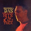 Greatest Hits of the Kali Yuga, 2004
