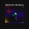 Chasm - Private World lyrics