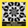 Repair the Sun - Single