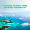 Bahamas Chillout 2021: Deep Chillout House Relaxation, House Chillout Café, Chicago House Chill Morning album lyrics, reviews, download