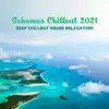 Stream & download Bahamas Chillout 2021: Deep Chillout House Relaxation, House Chillout Café, Chicago House Chill Morning