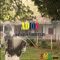 Adiós - Gustavo Contreras lyrics