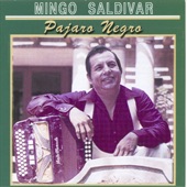 Mingo Saldivar - Pajaro Negro