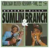 Chicago Blues Session, Vol. 22 album lyrics, reviews, download
