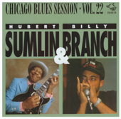 You Can't Change Me - Hubert Sumlin