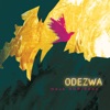 Odezwa