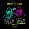 Pasa Pasa (feat. Skales) - Single