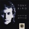 Mango Time (feat. Morris Goldberg) - tony bird lyrics
