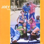 Joey Boy - Fun Fun Fun