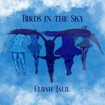 Elijah Jalil - Birds in the Sky