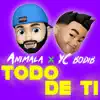 Todo de Ti (feat. YC Bodib) - Single album lyrics, reviews, download