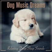 Dog Music Dreams: Relaxing Deep Sleep Sounds artwork