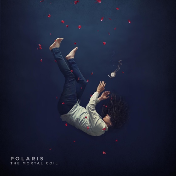 Cover artwork for The Remedy