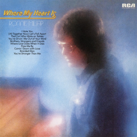Cover artwork for I Hate You