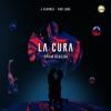 J Alvarez - La Cura