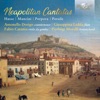 Neapolitan Cantatas: Hasse, Mancini, Porpora, Porsile