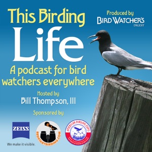 Best of This Birding Life: The Birding Life of Greg Miller