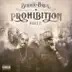 Prohibition Part 2 album cover