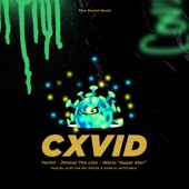 Cxvid artwork