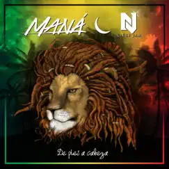 De Pies a Cabeza - Single by Maná & Nicky Jam album reviews, ratings, credits