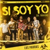Si Soy Yo (El Tóxico) - Single