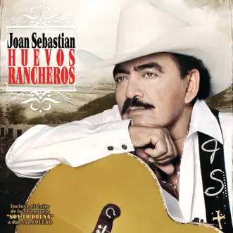 Golondrinas Víajeras (feat. Lucero) [feat. Lucero] by Joan Sebastian song reviws