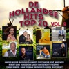 Hollandse Hits Top 20, vol. 9