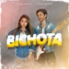 Bichota - Single