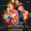 Elas Gostam de Gasolina - Ao Vivo by Anderson & Vei da Pisadinha iTunes Track 3