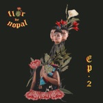 Flor de Nopal - Dale Chance