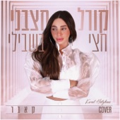 חצי בשבילי artwork