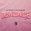 Desnudarte by Brytiago, Jay Wheeler iTunes Track 1