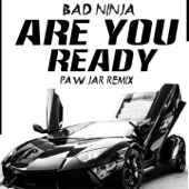 Are You Ready (PAW JAR Remix) - BAD NINJA