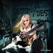 DestroyDestroyDestroyDestroy artwork