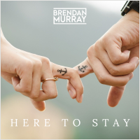 Brendan Murray - Here to Stay artwork
