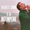 A la Intemperie (feat. Sinka) - Single album lyrics, reviews, download