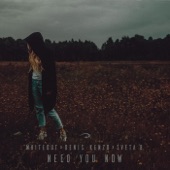 Need You Now (Extended Mix) artwork