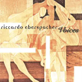 I Feel Love (feat. Leila Atza) by Riccardo Eberspacher song reviws