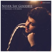 Never Say Goodbye (From "Dil Bechara") artwork