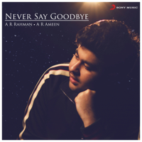 A. R. Rahman & A.R. Ameen - Never Say Goodbye (From 