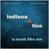 Indiana & Tico: A Noob Like Me (feat. Alexander Raichenok & Misael Barros) - Single album lyrics, reviews, download