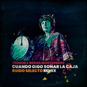 Cuando Oigo Sonar la Caja (Ruido Selecto Remix) artwork