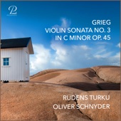 Violin Sonata No. 3 in C Minor, Op. 45: I. Allegro molto ed appasionato artwork