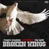 Broken Wings - Single (feat. Tsu Surf) - Single album lyrics, reviews, download