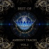 Best of Ambient Tracks, Vol. 2