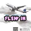 Flew In (feat. Luke Nasty & Ziggy) - Single album lyrics, reviews, download