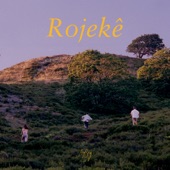 Rojekê (feat. Orhan Özgür Turan) artwork