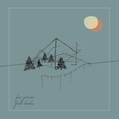 Far Pines - Old and Grey