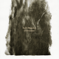 Soft Plastics - 5 Dreams artwork
