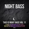 This is Night Bass: Vol. 11